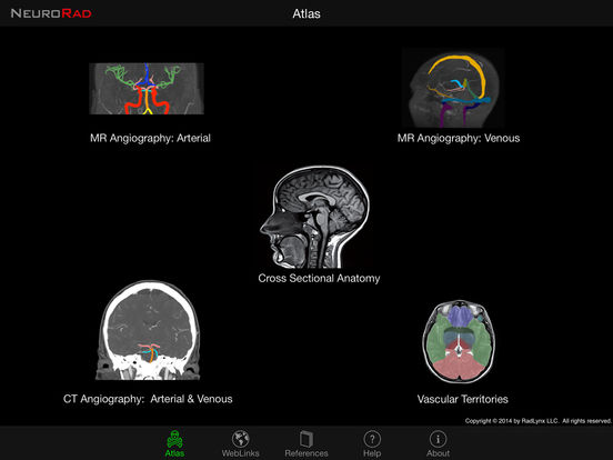 iPad Screenshot 1