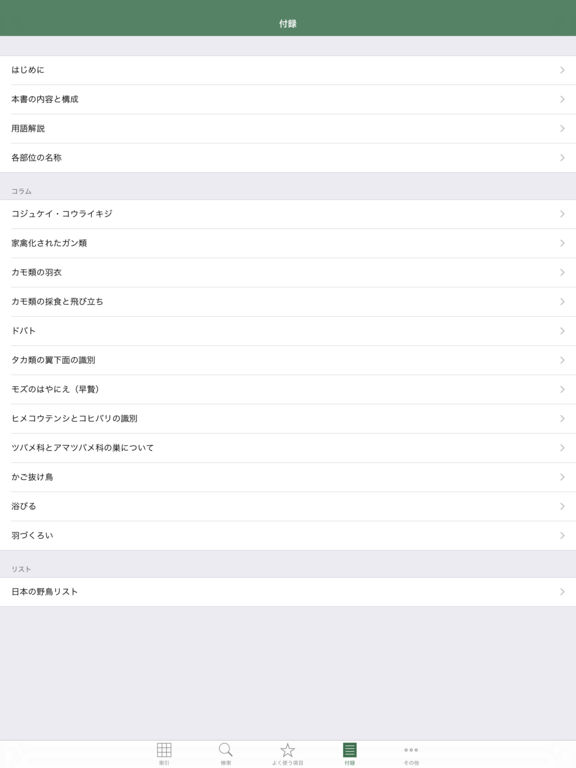 iPad Screenshot 5
