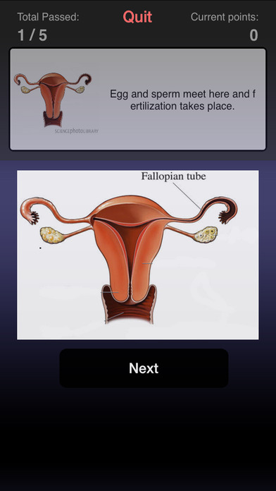 Options Pregnancy Center screenshot 3