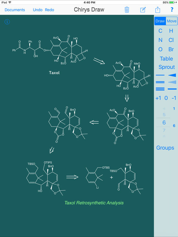 iPad Screenshot 4