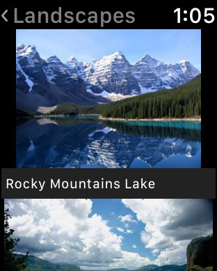 iPhone Screenshot 1