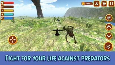 Hummingbird Simulator 3D: Bird Life screenshot 4