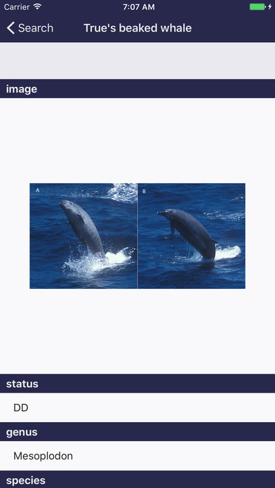 Whale Species: The Complete Compendium screenshot 2