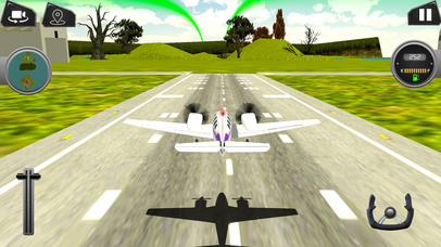 Island Airplane Flying Sim-Pilot Flight Experience screenshot 2