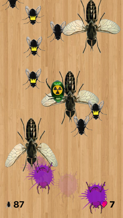 Pesky Flies screenshot 3