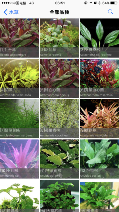 Aquarium Plant screenshot 2