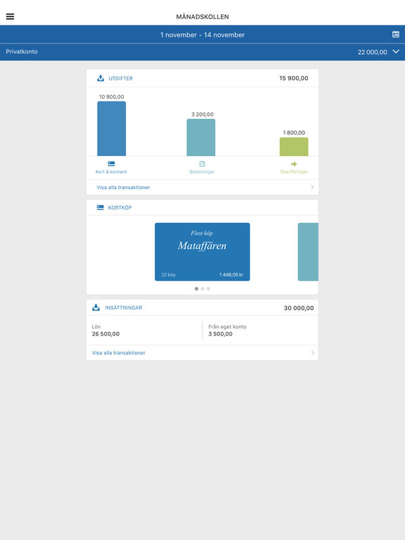 iPad Screenshot 4