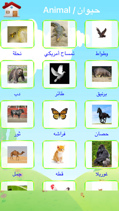 Arabic First Words For Baby screenshot 4