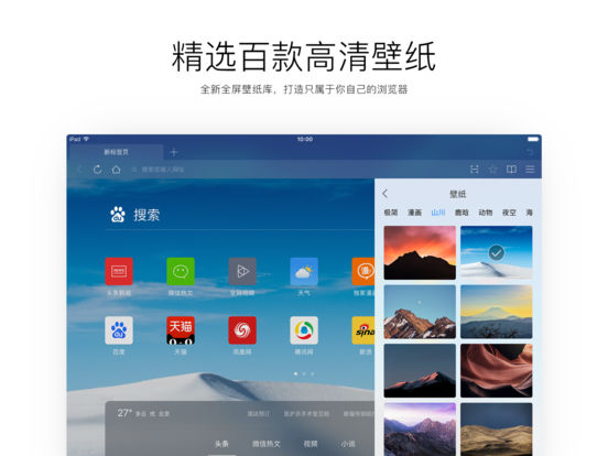 iPad Screenshot 2
