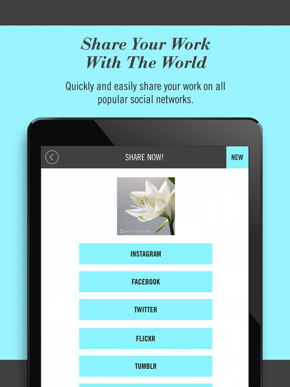 Screenshots of Watermark Studio X Free - Copyright & Trademark.s for iPad