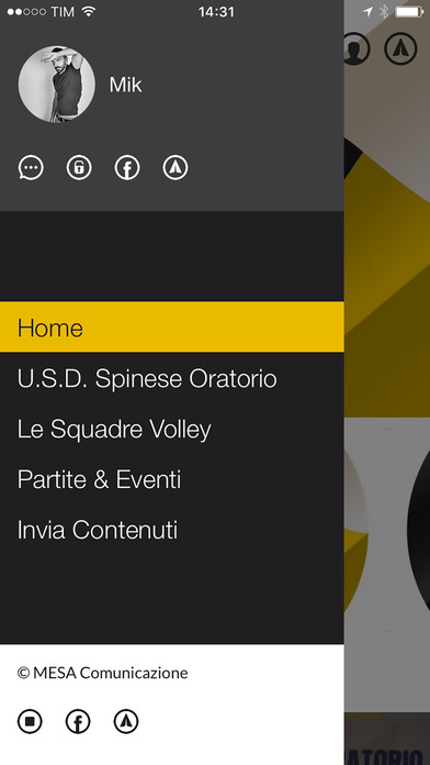 Spino Volley screenshot 2