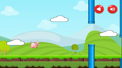 Flying Piggy - The Next Generation screenshot 2