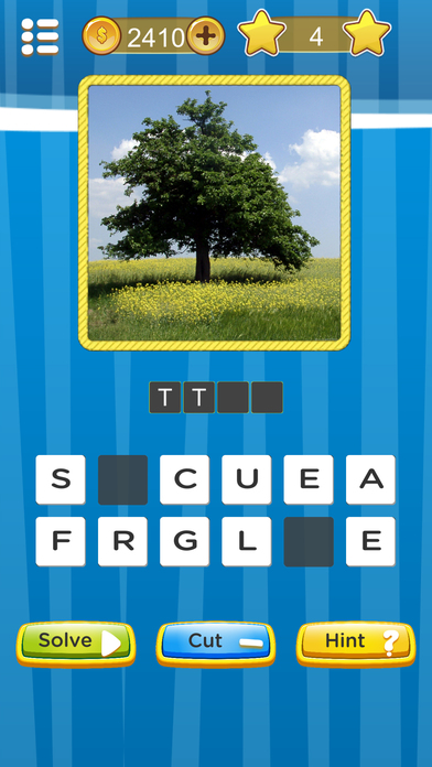 Photo Guess Quiz : Whats is words screenshot 4
