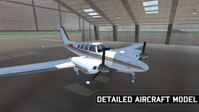 Air Academy Pocket Flight Simulator + screenshot 2