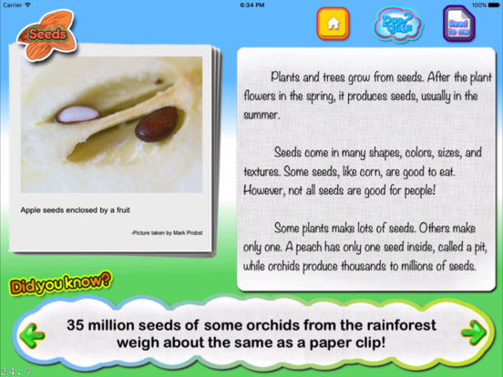iPad Screenshot 2