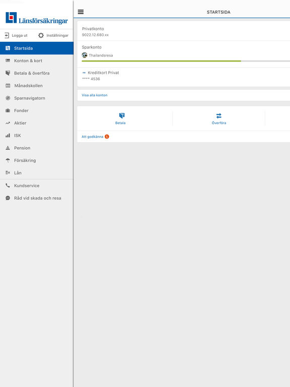 iPad Screenshot 3
