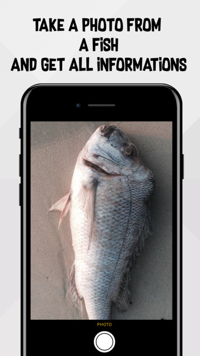 Fish detection screenshot 2