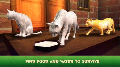 Hunting Cat Survival Simulator screenshot 2