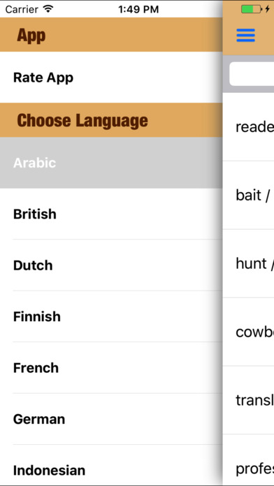 Flashcards Foreign Languages screenshot 2