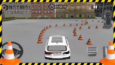 Driving Skill 3D - Car SIM screenshot 2