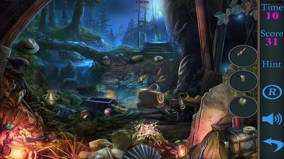 Hidden Objects Of A Dark Side Of The Forest screenshot 3