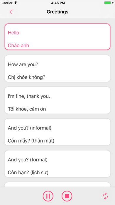 Learn Vietnamese - Vietnamese Guide Phrasebook screenshot 2