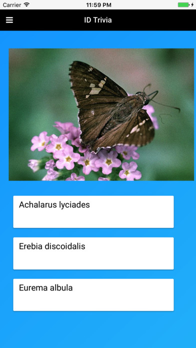 Butterfly Species of North America screenshot 4