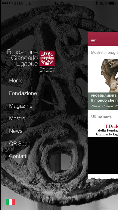 Fondazione Giancarlo Ligabue screenshot 3