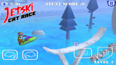 Jet Ski Cat Race screenshot 4