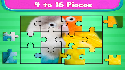 Love Bird Jigsaw Puzzle paradise : Train The Brain screenshot 2