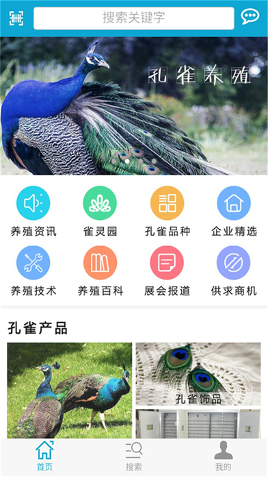 中国孔雀网 screenshot 2