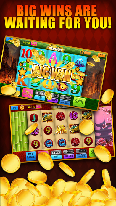 Wild Pro - Casino Slot Games screenshot 4