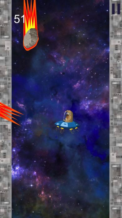 Space Chicken - Incredible Way screenshot 3