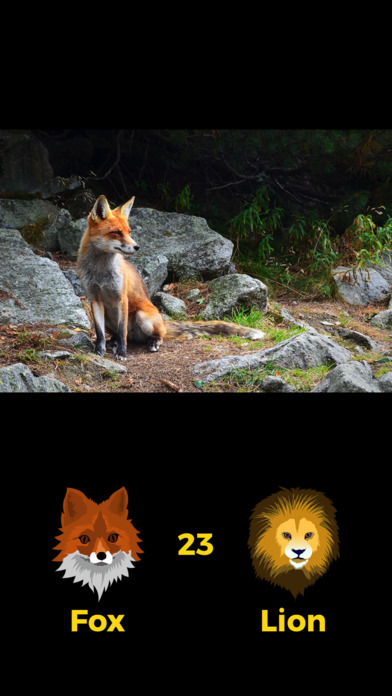Fox or Lion – test your brain. screenshot 2