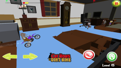 Cat Rides A Dirt Bike screenshot 2