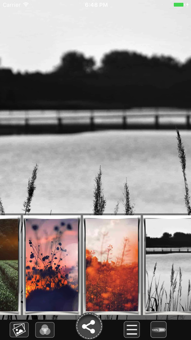 Flower HD Wallpapers screenshot 4