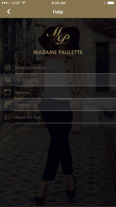 Madame Paulette Cleaners screenshot 4