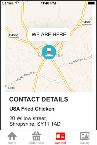 USA Fried Chicken screenshot 4