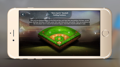 Baseball Bee the Buzz Series screenshot 3