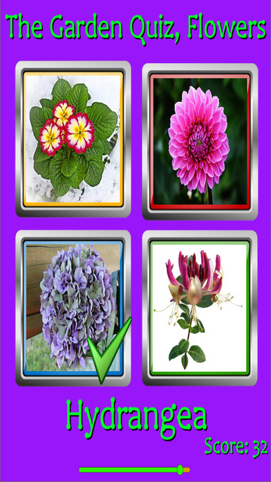 The Garden Quiz: Flowers screenshot 4