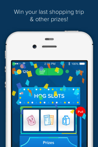Receipt Hog: Shopping Rewards screenshot 3