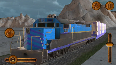 Summer Train Driving Simulator : Railroads 2017 screenshot 3