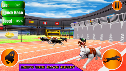 Crazy Dog Racing 2k17 screenshot 2