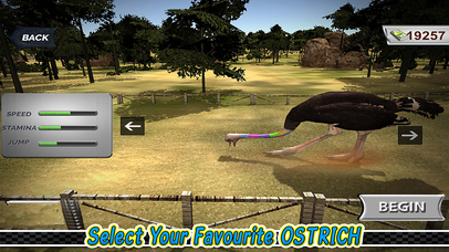 Ostrich Racing 3D Simulator screenshot 3