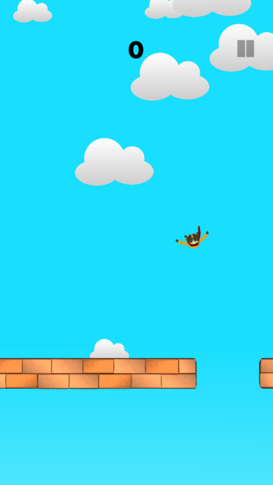 Skydiver Dude screenshot 2