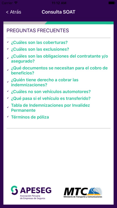 Consulta SOAT screenshot 3
