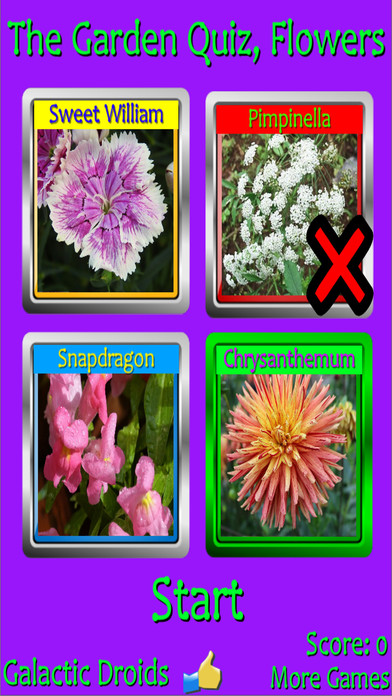 The Garden Quiz: Flowers screenshot 3