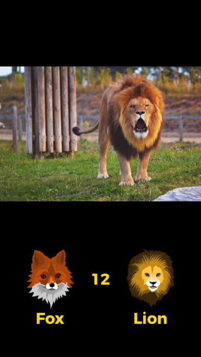 Fox or Lion – test your brain. screenshot 4