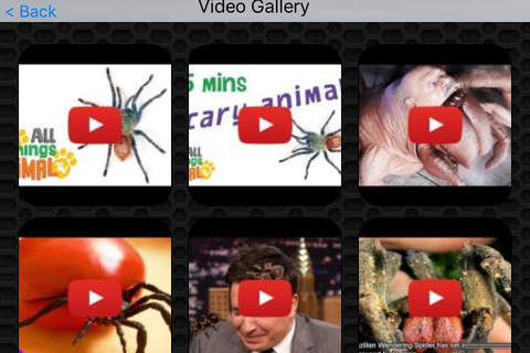 Spider Video and Photo Galleries FREE screenshot 2