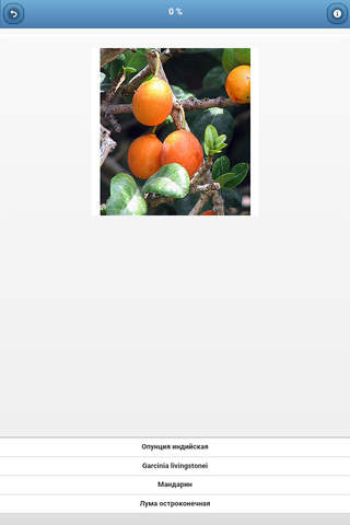 Fruit - quiz screenshot 3